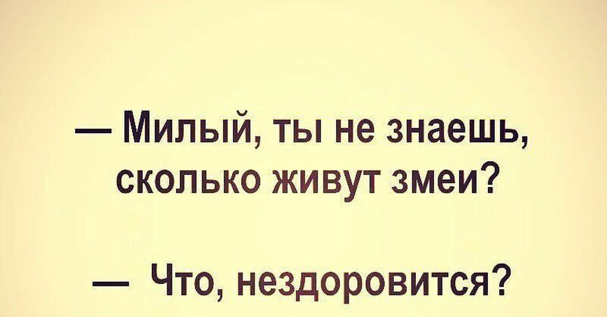 Долго не живет. Что то и мне нездоровится. Анекдоты и шутки великих людей. Анекдот.милый ты не знаешь сколько живут змеи. Нездоровится.