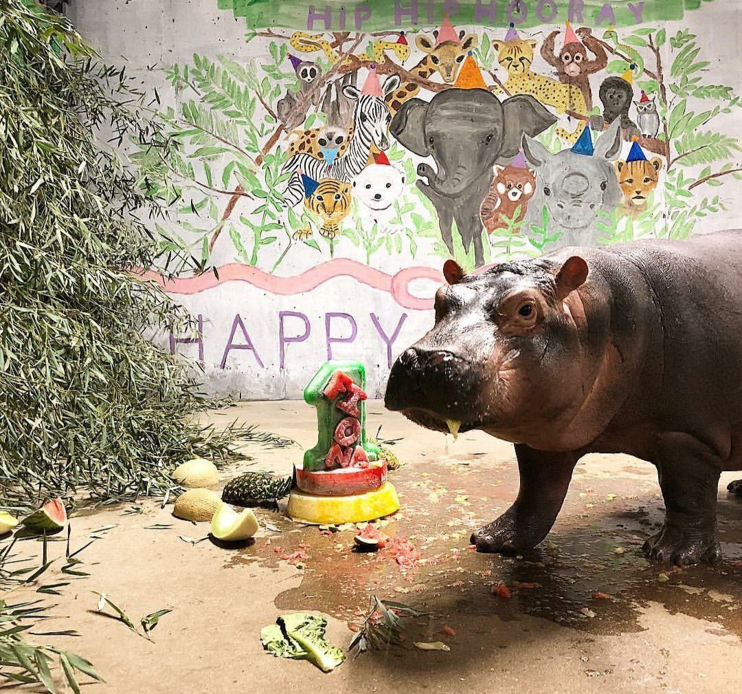 День рождения зоопарка