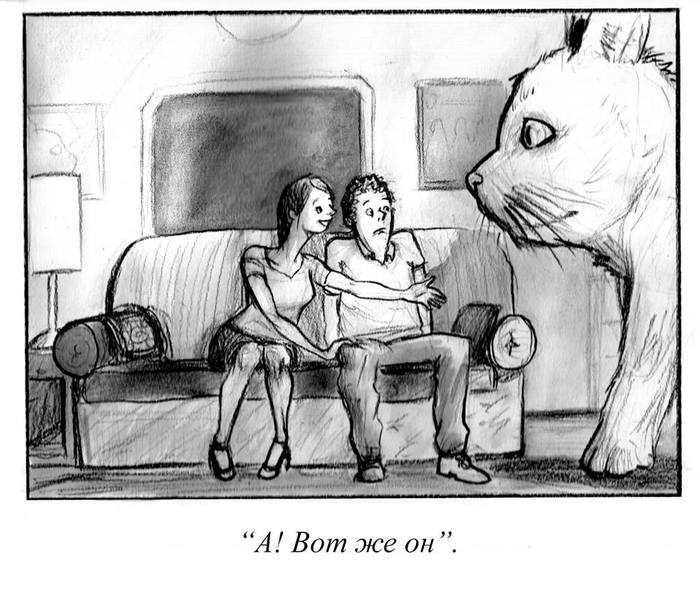 Where is the cat? - Found a cat, Comics, The new yorker, New Yorker Magazine