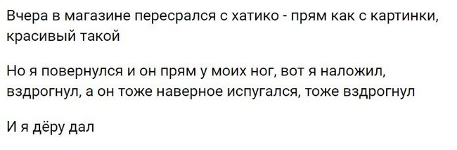 ����� ���� ������ �����