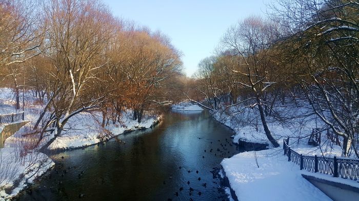 Зима на Яузе