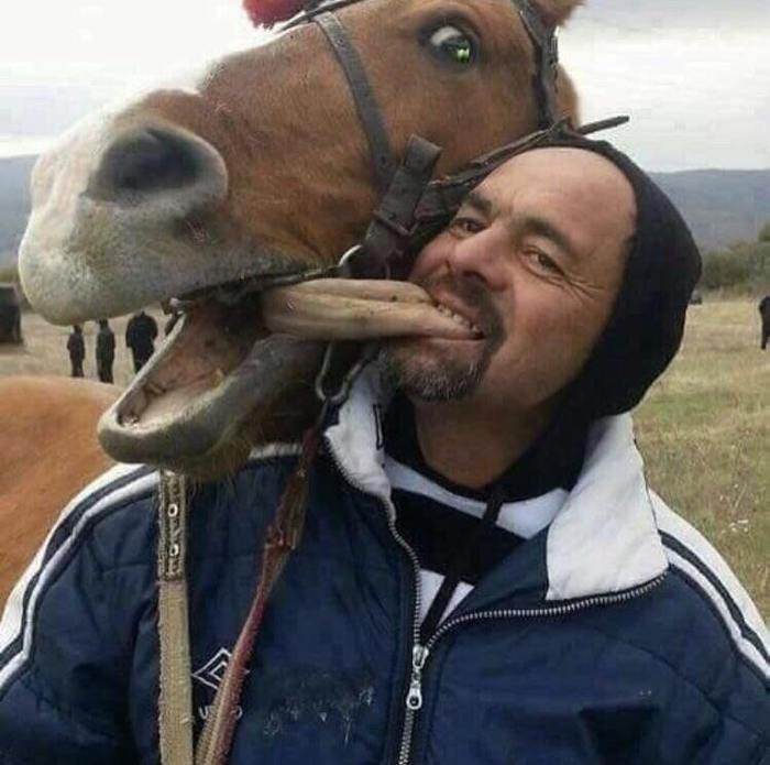 What chemical processes in the head of a person make you do something like this? - Horses, Person, Language, Disgust, Disgusting