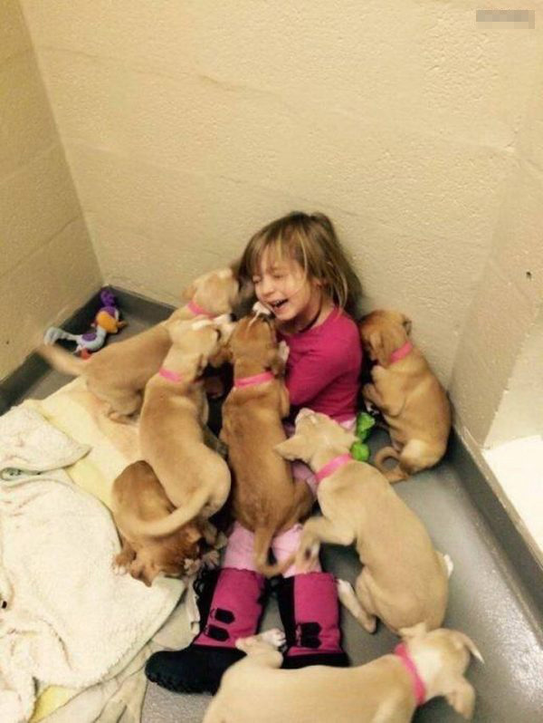 Terrible dog attack on a small child - Puppies, Children, Milota