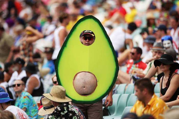 Best cosplay avocado - Reddit, Avocado, Cosplay