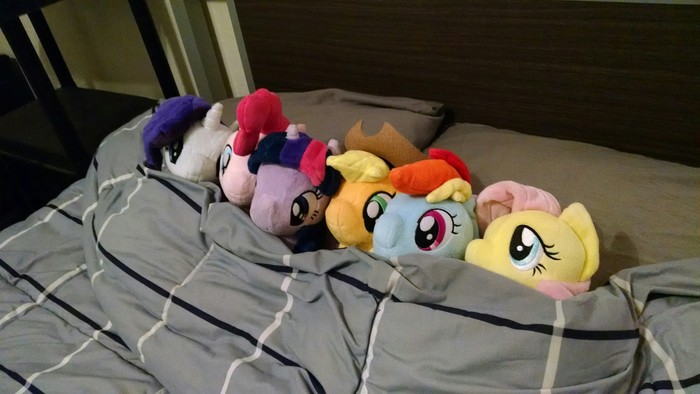 SHOCK! A photo of Princess Twilight with her friends in BED has leaked online! - My little pony, Mane 6, Twilight sparkle, Rarity, Pinkie pie, Applejack, Rainbow dash, Fluttershy