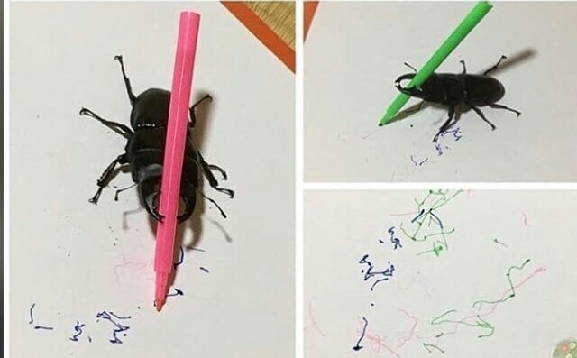 ��� �������? ������ �������������� �������, ����������)