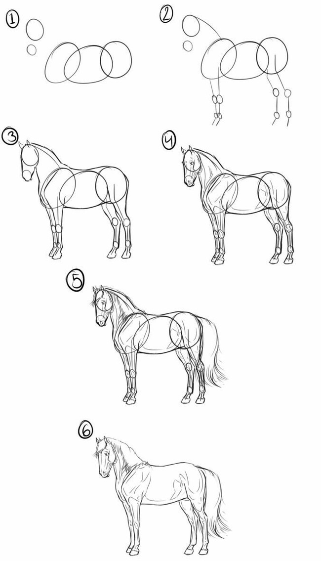 How to draw a horse - Painting, Drawing, Pencil drawing, With your own hands