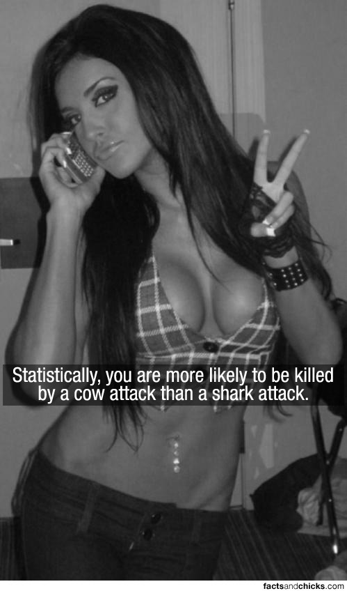 Chicks and facts-12 - NSFW, Facts, 33 cows, Shark