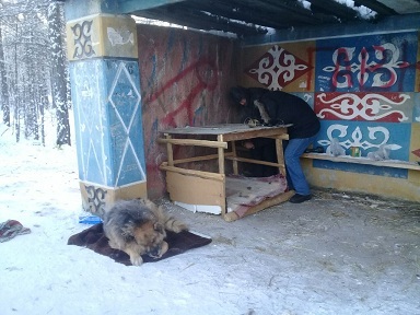 Betrayal, help, murder. - Yakutsk, Hachiko, Flailing, Homeless animals, Copy-paste, Longpost