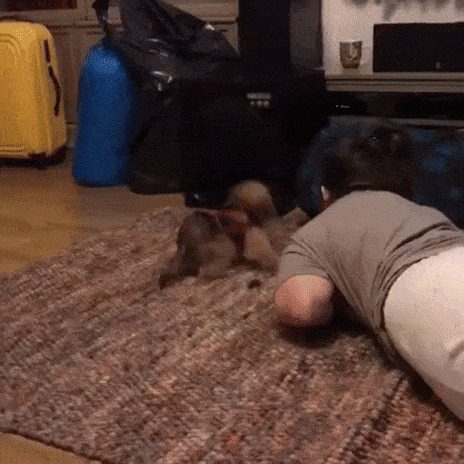 ,      - 