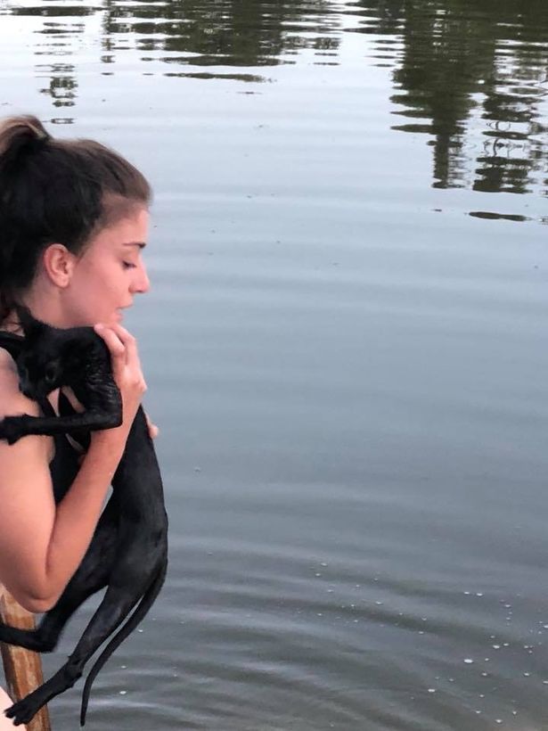The girl pulled the cat out of the river and froze in amazement. A circular saw was tied to it! - Longpost, Life stories, Animals, The rescue, River, cat