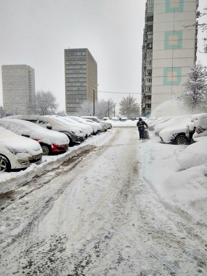 When everyone was queuing for brains - The photo, Housing and communal services, Snow, Street cleaner, Car, My