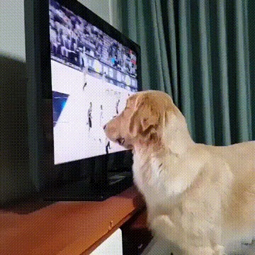 Баскетбол - это жизнь)
