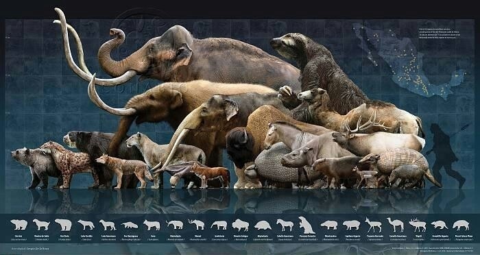 Dimensions of prehistoric megafauna compared to modern animals. - Megafauna, Prehistoric animals, Video, Longpost, Paleontology