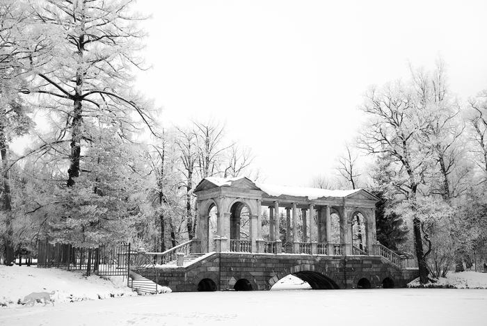 Черно-белая зима в Екатерининском парке. - Моё, Фотография, Черно-белое, Царское село, Санкт-Петербург, Зима, Екатерининский парк, Длиннопост