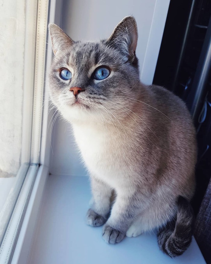         ! :) ,  , ,    , , 
