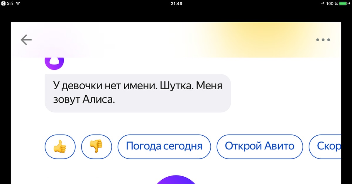 Разработчик алисы алексей. Алиса ахмедиевна иванова. Отличник канал. Программист сергей сергеевич. Программист алексей алиса.