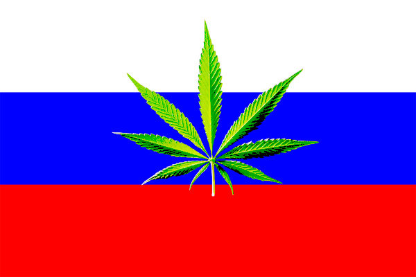 Марихуана в москва новые фильмы марихуану