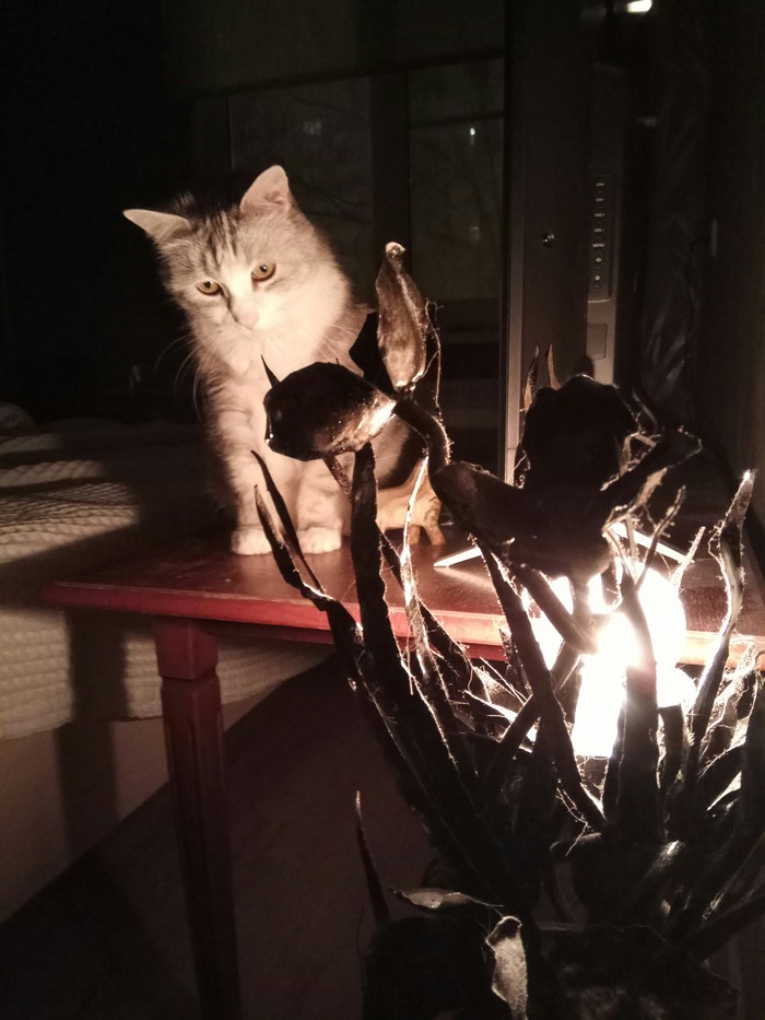 ���������