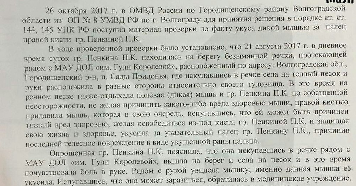 Про поросенка борю. Отказной материал про поросенка Борю. Постановление про поросенка Борю. Поросенок Боря постановление об отказе в возбуждении уголовного. Протокол про поросенка Борю.