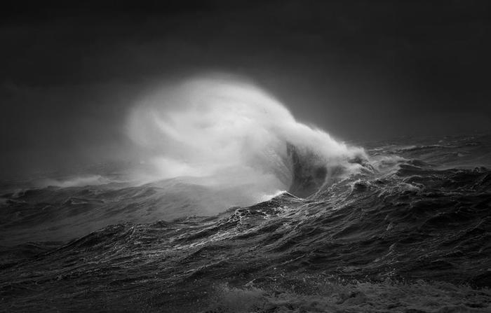   Black and White Photographer of the Year     , , ,  , - , 