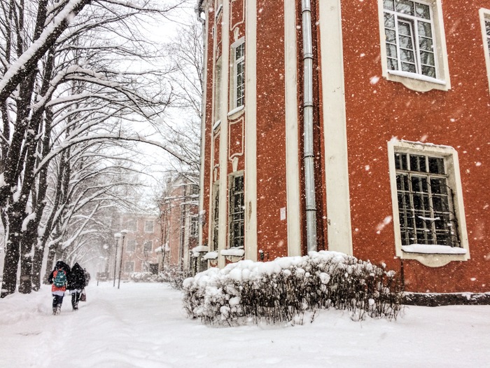 Winter - My, Beginning photographer, Winter, The park, Medical University, Saint Petersburg, Snow, Snowfall, Longpost