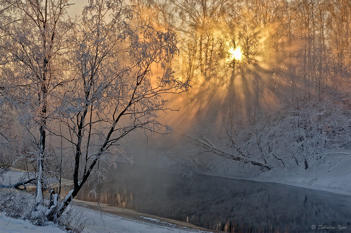 Sunny morning on a frosty day. - My, Istra, Winter, Moscow region, The sun, Beams
