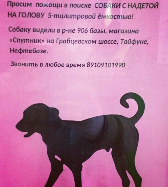 Horrors from Kaluga - Dog, Search, Trash