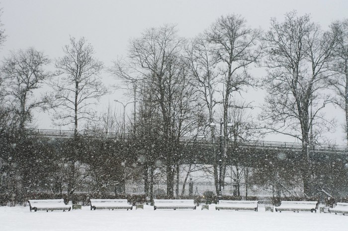 Start of snowfall. - My, Saint Petersburg, The photo, Snowfall, Cityscapes, Black River, Winter, Longpost, Street photography