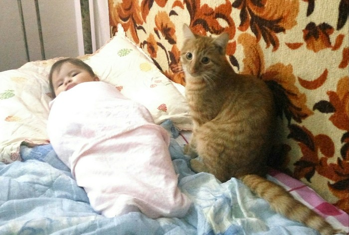 Lyalka and Nyanka... - My, , Mustachioed - Striped, cat