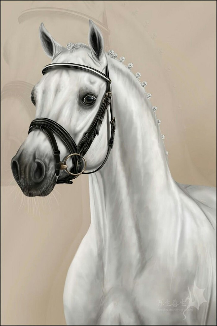 Horse art