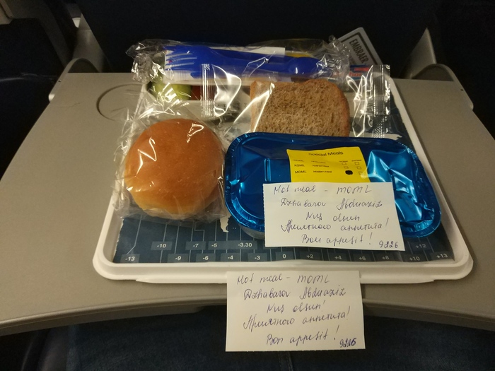 Azerbaijan Airlines ... - My, Airline, Airplane, Food, Travels