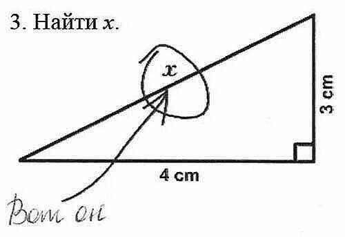 Просто офигеть можно - Моё, Обезян, Макака, Длиннопост