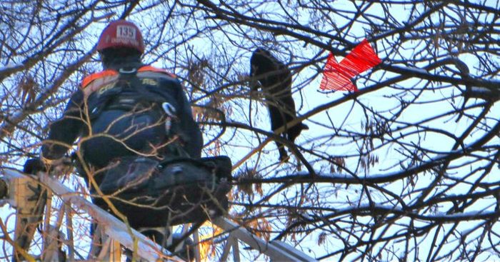 “In the meantime, it was covered with snow…” The cat-dart-climber deceived the girl-alpinist and flew away on an unscheduled flight! - Volunteering, cat, Ministry of Emergency Situations, The rescue, Longpost