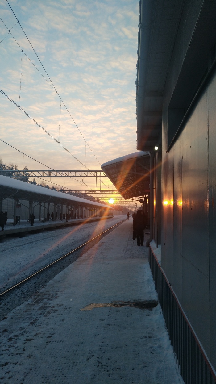 Frosty morning in the suburbs - Подмосковье, My, Morning