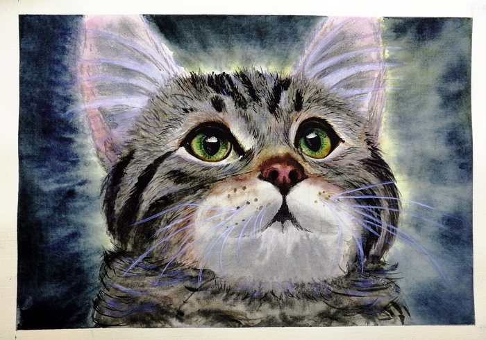 Kitten Marcello - My, cat, , Drawing, Watercolor, Charity, Video