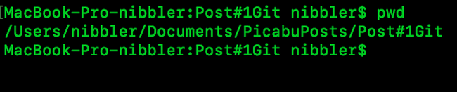 I will teach you to program #1 Version control systems. git - My, PHP, , Longpost, Self-education, self-study, Programming, Web Programming