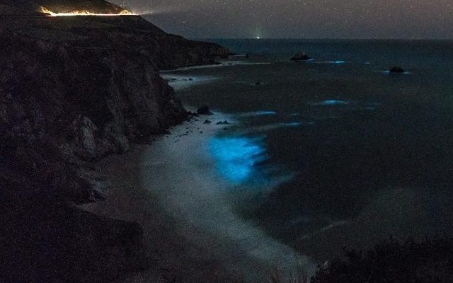 Shining waves off the coast of California. - California, Plankton