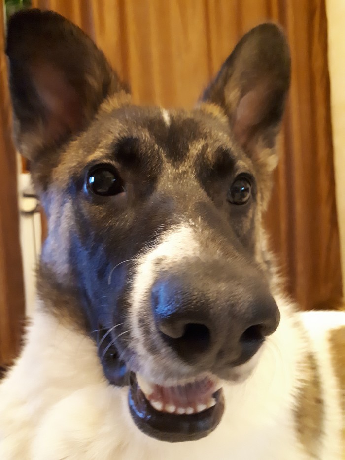 ��� ����� �� ������.