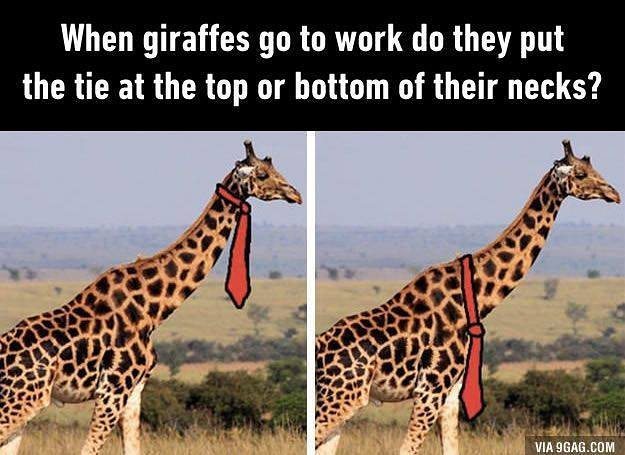 Проблемы деловых жирафов