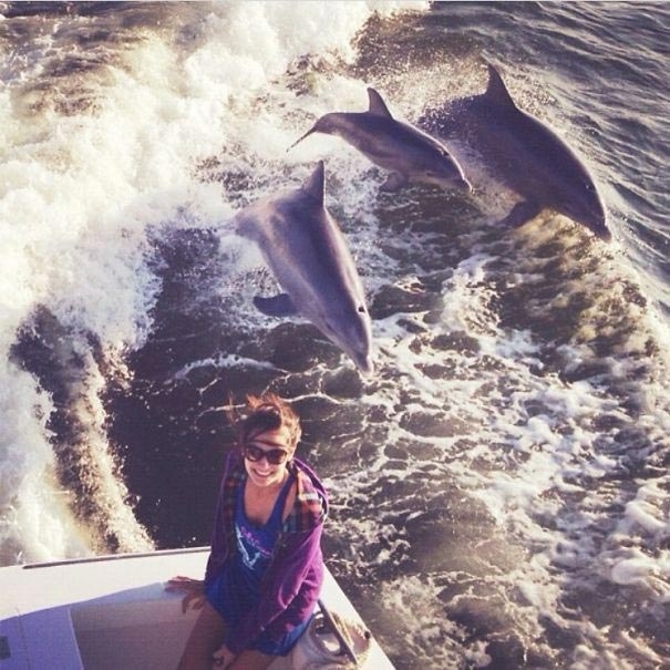 Удачный момент Дельфин, Фотография, Удача, Интересное