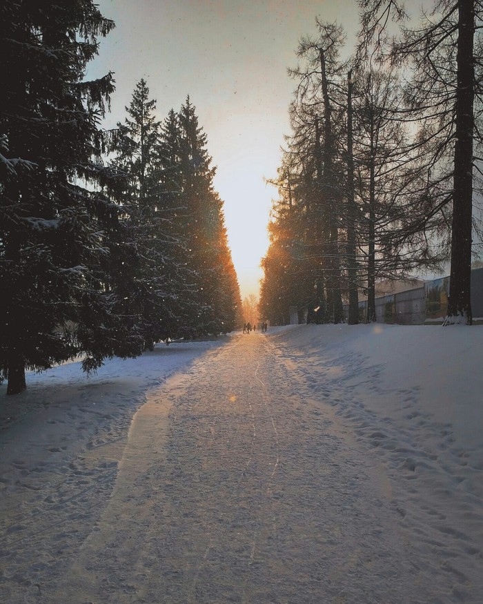 Tsarskoye Selo in winter - My, The photo, Mobile photography, Saint Petersburg, Tsarskoe Selo, Pushkin