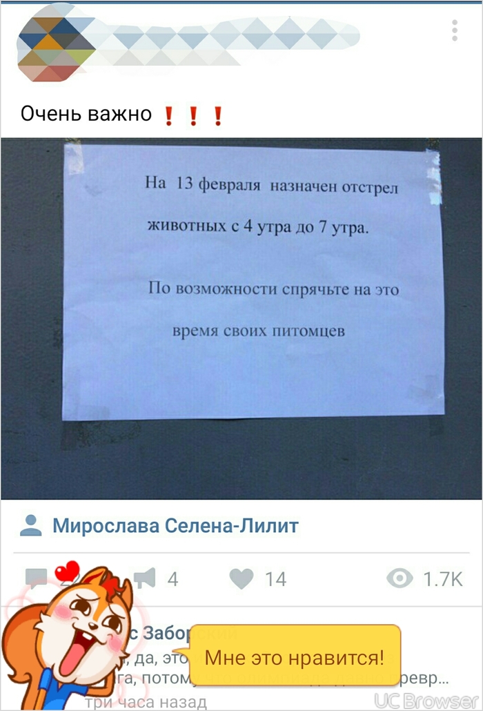 Отстрел бездомных животных в Лазаревске. - Отстрел животных, Помощь животным, Длиннопост, Сила Пикабу, Животные, Помощь, Беспредел