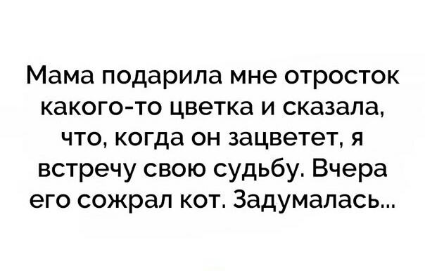 В преддверии Валентинова дня. - День святого Валентина, Не судьба