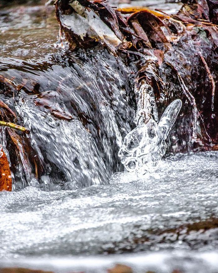 Natural Victory - My, Siberia, Pillar, Nature, Beginning photographer, Autumn, My, Stream, Nikon d3100