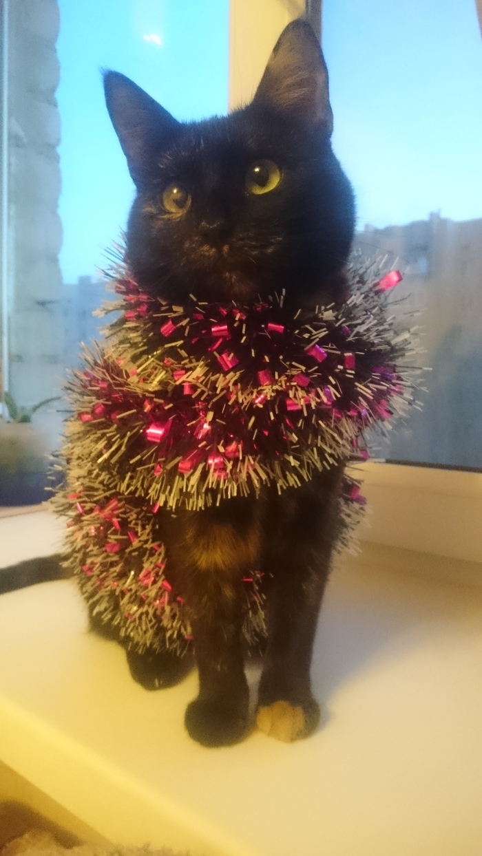 ��� ������ ����