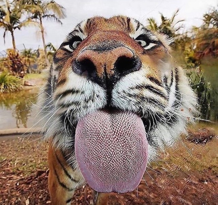 ��, ������!