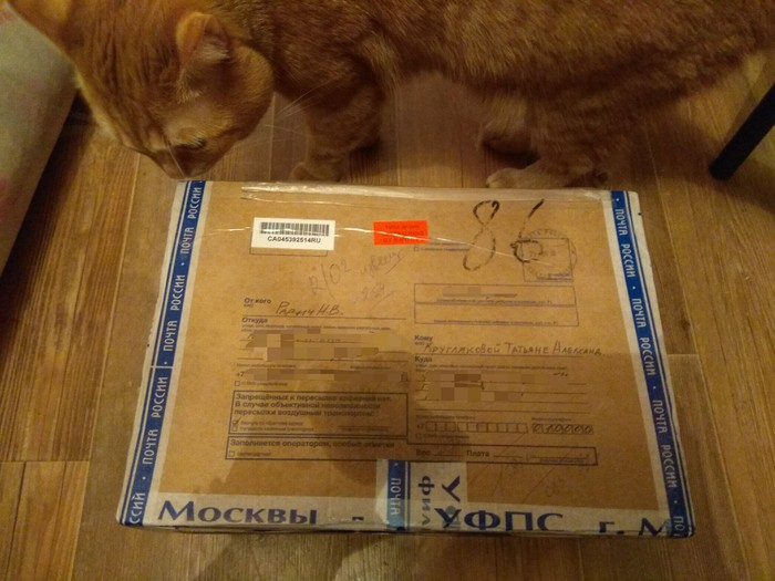 Gift travel from Moscow to Astana - My, Gift exchange, Secret Santa, Longpost