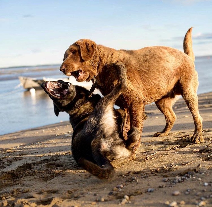 ��� ����