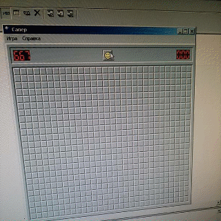 Life is like a game of minesweeper. - My, A life, Games, GIF, Sapper